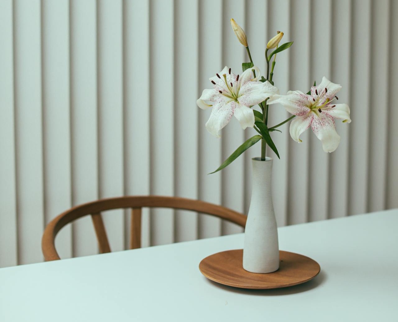 Vertikale Jalousien von Presentsmycustom